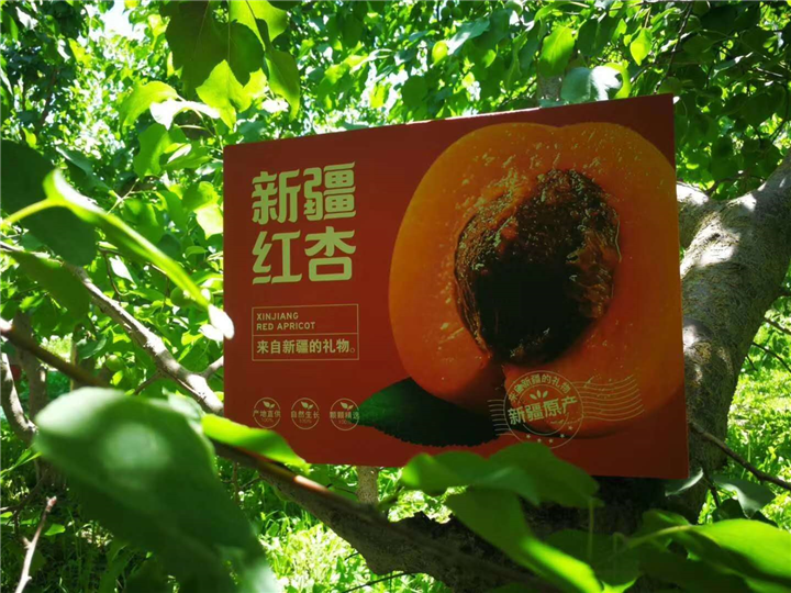 新疆农副产品彩色纸箱 