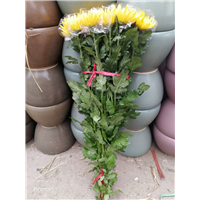 广州鲜花批发4