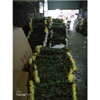 广州鲜花批发
