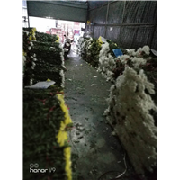 广州鲜花批发4