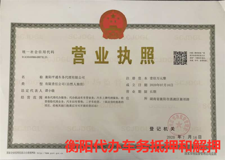 衡阳代办车务**