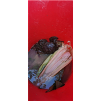 河蟹 