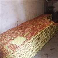 蛋鸡的品种介绍 