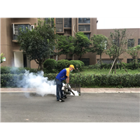 成都灭苍蝇 