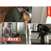 成都专业灭苍蝇公司 