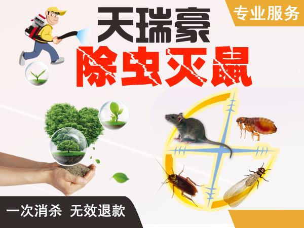 成都专业食品厂灭老鼠 