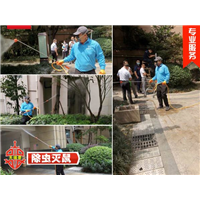 成都灭老鼠公司有哪些 