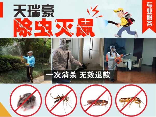 成都专业灭老鼠公司 