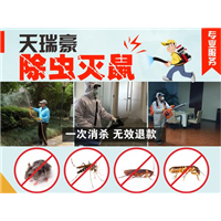 四川成都专业家庭灭蟑螂 