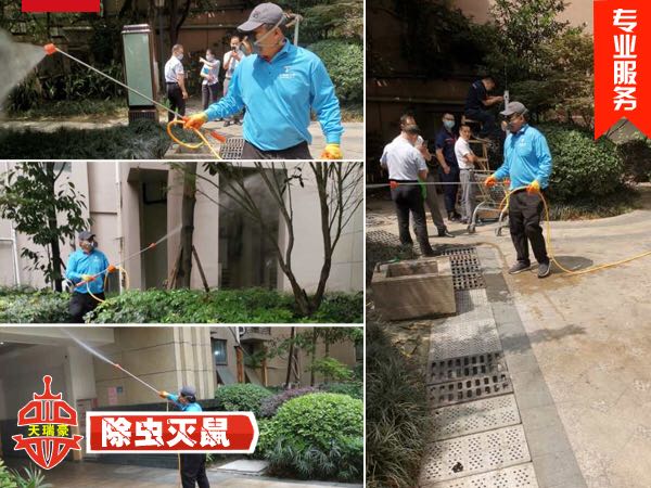 成都灭老鼠公司有哪些 