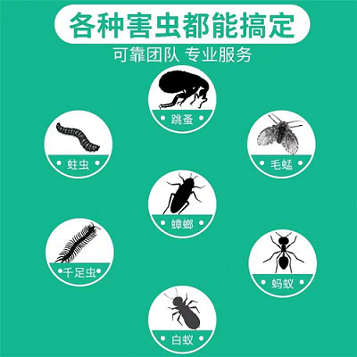 南昌灭蟑螂
