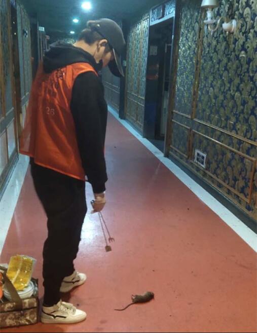 南昌灭鼠