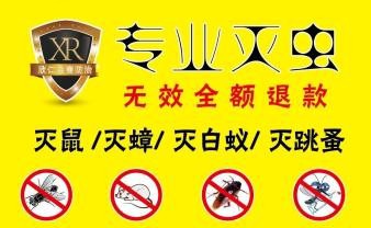 南昌白蚁防治中心家庭捕鼠家庭灭蟑螂 