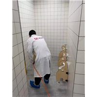 路桥区除甲醛公司