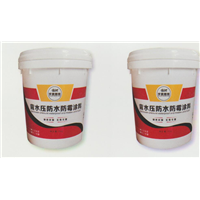 兰州背水压防水涂料 