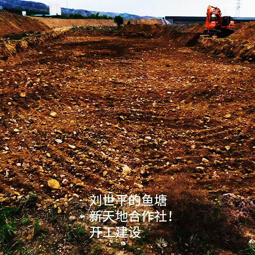 水质调控 