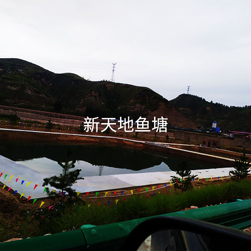 起捕成鱼 