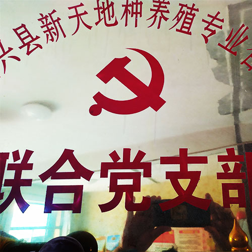 合理投喂 