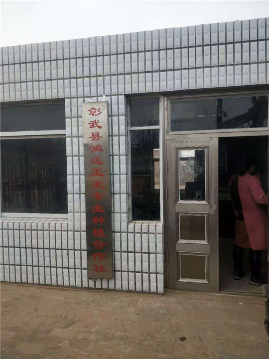 玉米种植3 