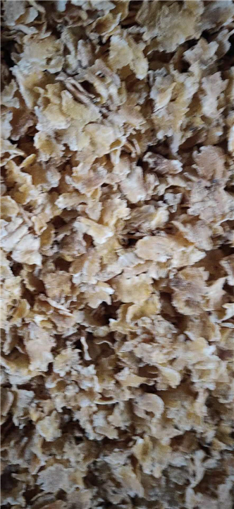 玉米压片2 