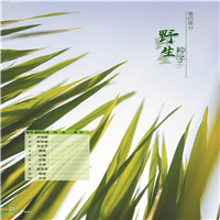 新疆野生种子 