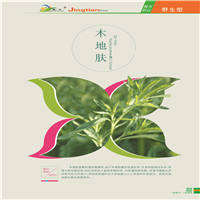 新疆野生种子 