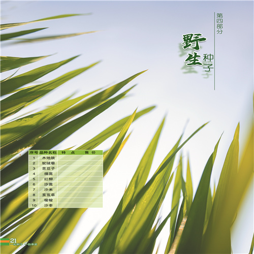 新疆野生种子 