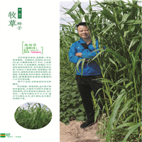 新疆花卉种子批发厂家 