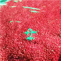 红豆