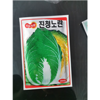 白菜