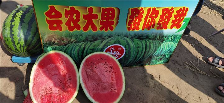 西瓜 