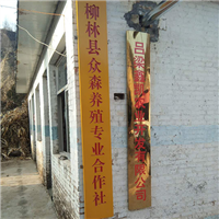 鱼塘