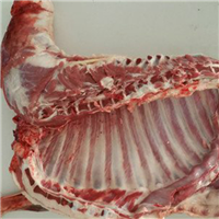 优质羊肉 