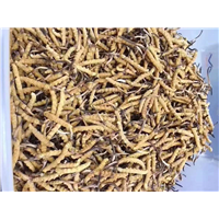 焦作上门回收冬虫夏草、海参阿胶、燕窝礼品