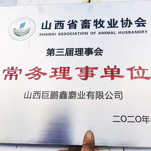 林麝 