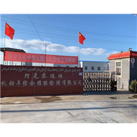阿克苏车辆年检 