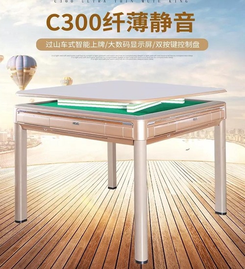 松乐C300过山车**机 