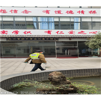 九江家庭灭蚂蚁的方法
