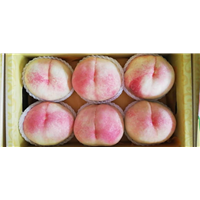 阳山水蜜桃价格