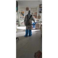 乌鲁木齐灭蚊子蚂蚁臭虫
