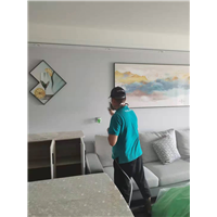 凭祥正规检测治理甲醛公司