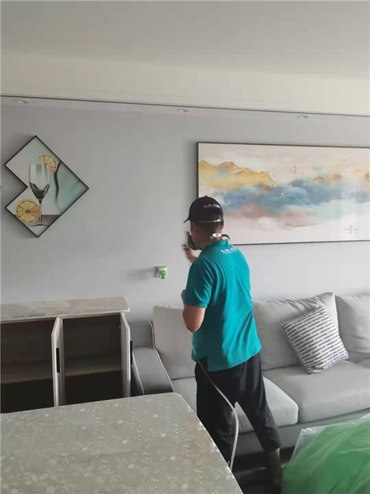 凭祥正规检测治理甲醛公司