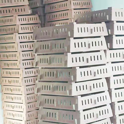 鸡的养殖文化 