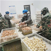 鸡的养殖文化 