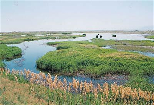 新疆水土保持验收评估 
