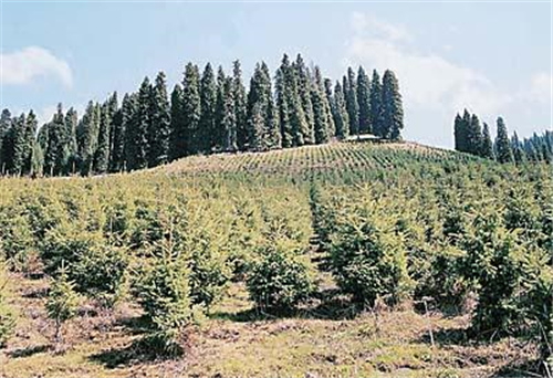 新疆水土保持验收评估 