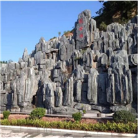 惠州水泥塑石 