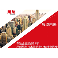 贵阳用友智能制造软件 
