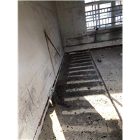 碳纤维加固 