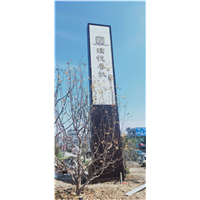 阜阳精神堡垒